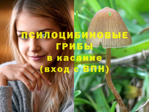 бошки Ельня