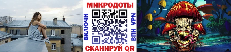 Псилоцибиновые грибы Psilocybine cubensis  Бирюч 